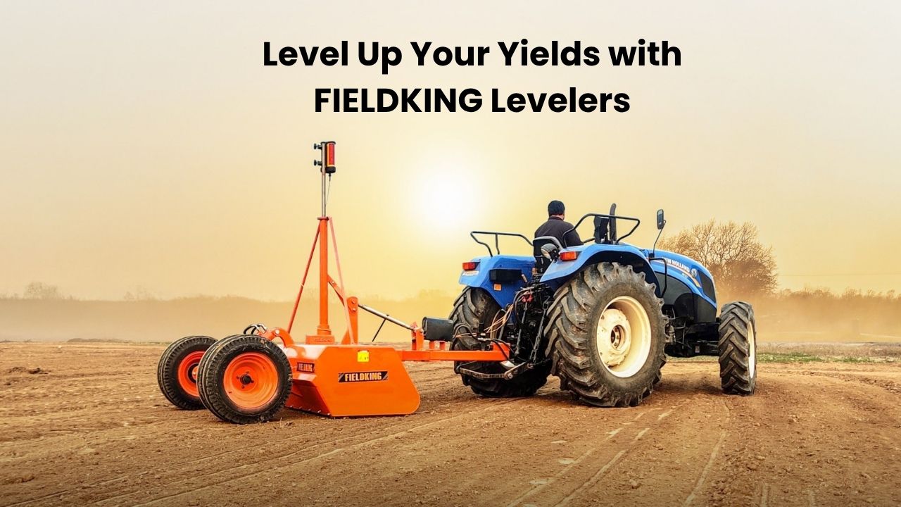 fieldking Land Leveler