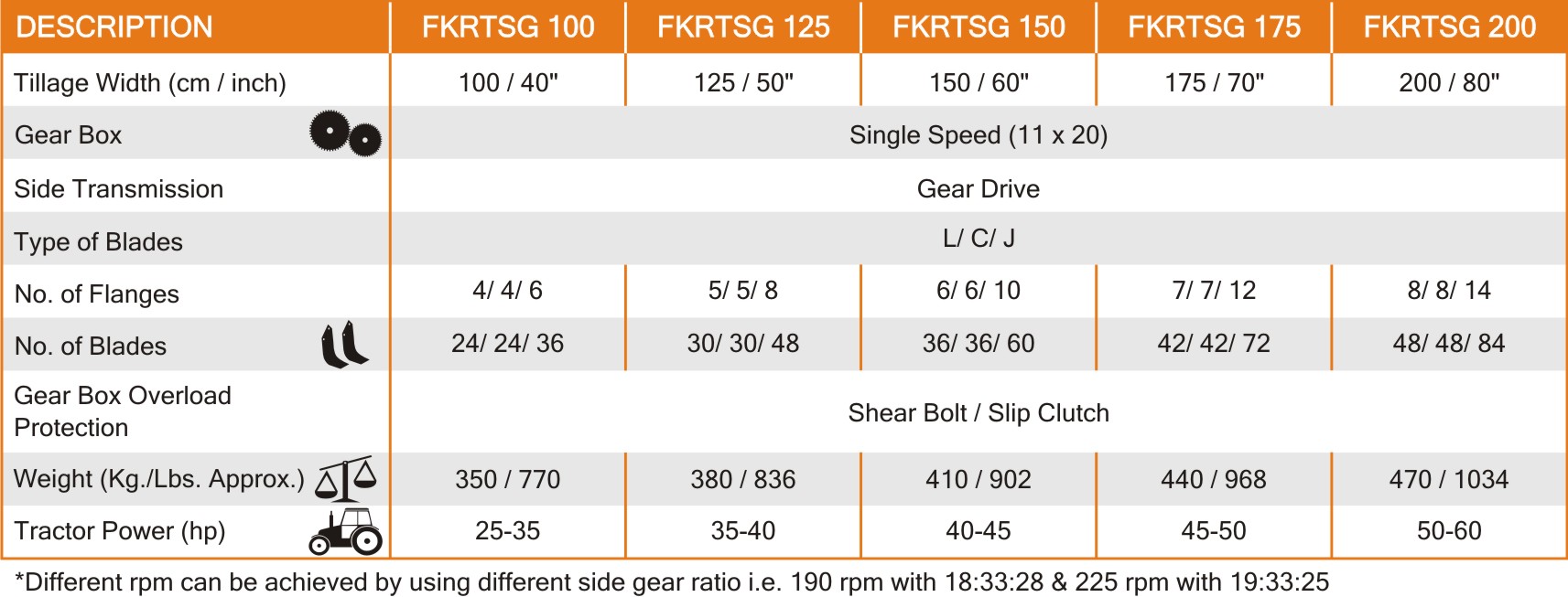 regular-single-speed